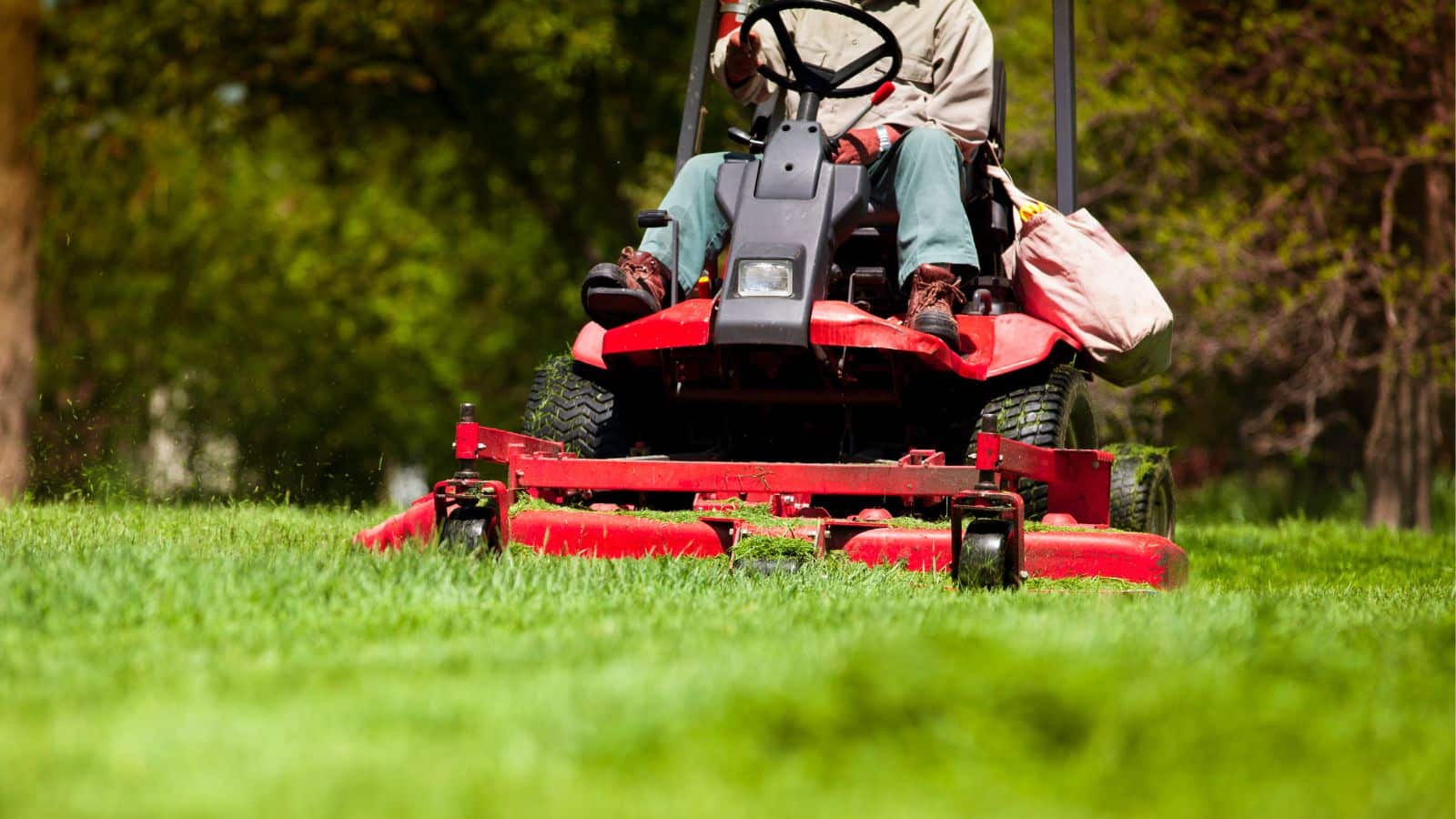 Lawn Mowing